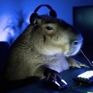 Логотип @i_write_about_music - Пишу про музыку