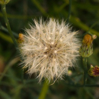 Логотип @ia_search - Я[на]творила