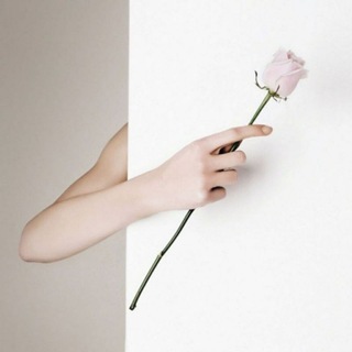 Логотип @iaesthetics - Глазами Эстета 🍃 Обои