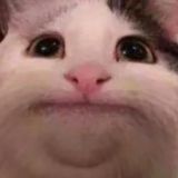 Логотип @iam2day_chat - Чат Сегодня я...