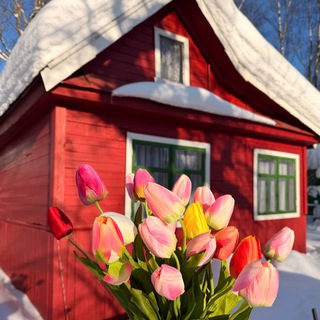 Логотип @iam_torivi - дитя природы 🧝🏻‍♀️