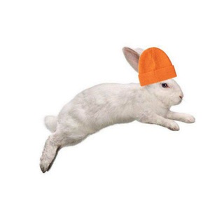 Логотип @iamalovelyfish - Шушка учится и ищет 🚁 🇸🇦