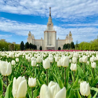 Логотип @iamamuscovite - Моя Москва