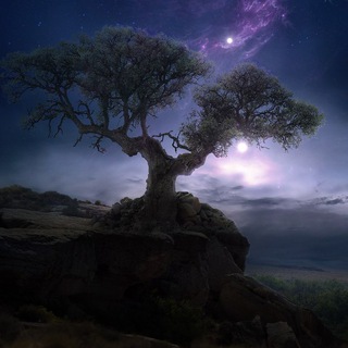 Логотип @iamdreamer - Daydreamer