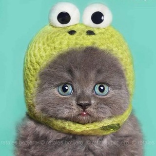 Логотип @iamplacebo - PLACEBO 😌