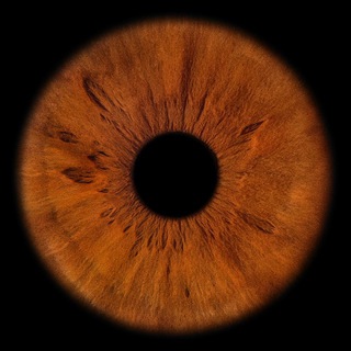 Логотип @iamternovoy - TERNOVOY