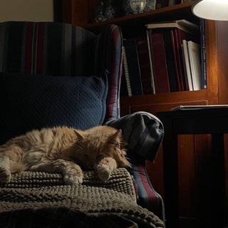 Логотип @iamyowrr - iamyowr