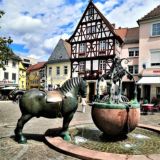 О путешествиях и не только Chat