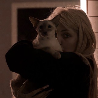 Логотип @ibi_na_fig - Сломай меня.