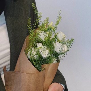 Логотип @iblvns - 𝚊