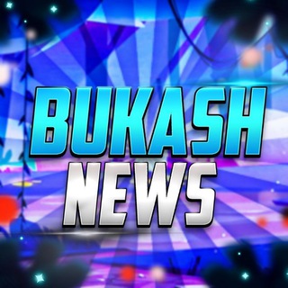 Логотип @ibukash - Bukash News