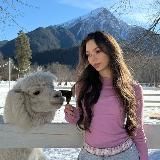 Логотип @icceeeberg - айсберг @icceeeberg