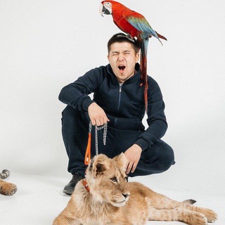 Логотип @icesummer0 - LAFITOVS TIGERS Fan