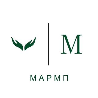 Логотип @idaetpe - МАРМП