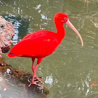 Логотип @idas_channelings - Ida‘s Channelings