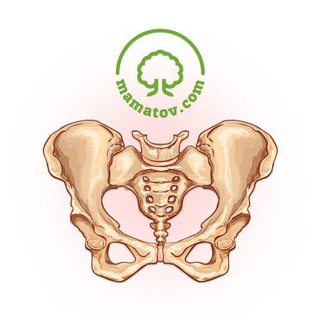 Логотип @ideal_tazovoe_dno - Тазовое дно - фундамент Вашего здоровья