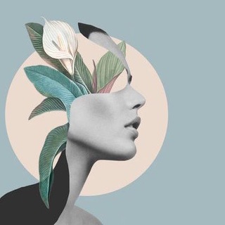 Логотип @ideasforinstagramstories - Ideas for Instagram Stories✨