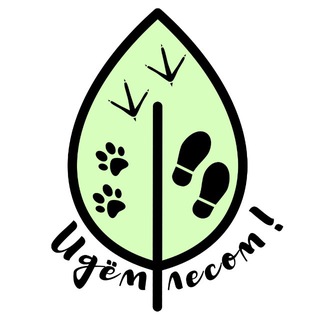 Логотип @idemlesom - Идём лесом!