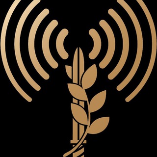 Логотип @idfrus - Пресс-секретарь ЦАХАЛа - Анна Уколова