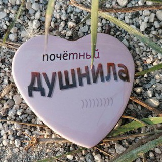 Логотип @idooshnila - Душнила