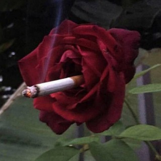 Логотип @ifonkupitemne - damn pictures🥀