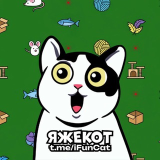 Логотип @ifuncat - ЯЖЕКОТ