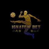 Логотип @igbetignat - 💸IGNATEW BET💸