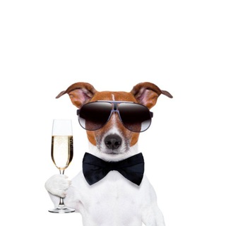 Логотип @igor_plushkin - Игорь Плюшкин