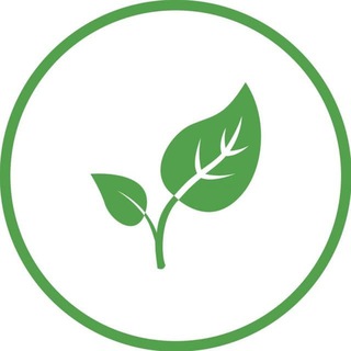 Логотип @iherbguru - 🌱 iHerbGuru | Здоровье и витамины | Айхерб