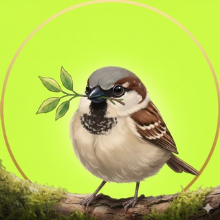 Логотип @iherbs_true - Татьяна Грибанова про iHerb