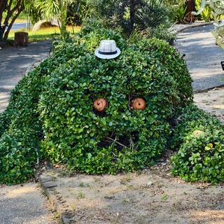 Логотип @ihormos_ru - Цветочные побасёнки