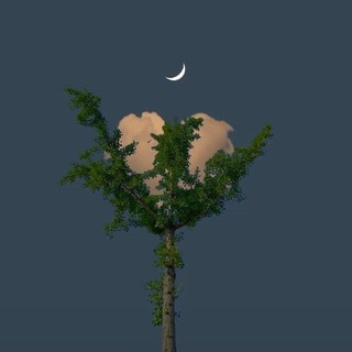 Логотип @iiinsoomnia - ✨𝒊𝒏𝒔𝒐𝒎𝒏𝒊𝒂✨