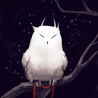 Логотип @iiowlwebnovels - FSG OWL FAMILY | i.iowl