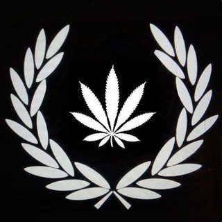 Логотип @iirugtguj - планчик и рэпчик - рэпчик и планчик🌪💸