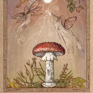 Логотип @iismuh - Интересные истории страны мухомории