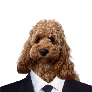 Логотип @ikolyuchka3 - Для ваших отписок