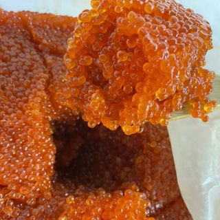 Логотип @ikorka_mlt - Икорка Мелитополь