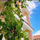 Логотип @ikos_fanas - Ikos Fanas