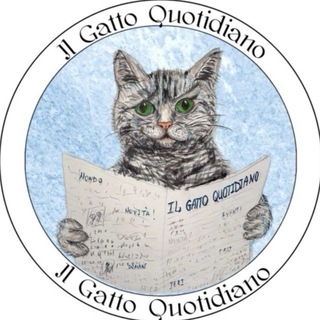 Логотип @il_gatto_quotidiano - Il Gatto Quotidiano