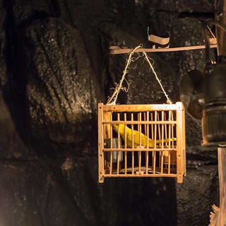 Логотип @ilcanarinonellaminieradicarbone - Il Canarino nella Miniera di Carbone