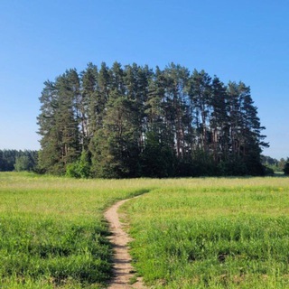 Логотип @ilinskoe_news - Ильинское. Новости