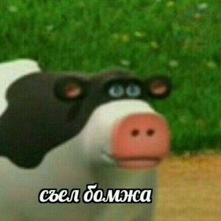 Логотип @illitechat - Бомжи кончились.