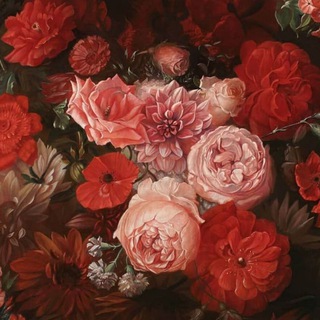 Логотип @illugram - Illugram