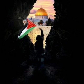 Логотип @ilnarmulla - Ilnar Mulla