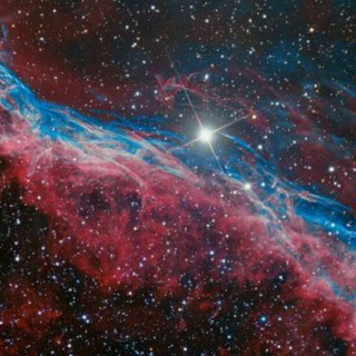 Логотип @IlonMaskRus - Илон Маск | Физика | Астрономия