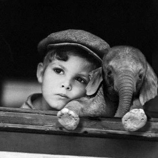 Логотип @ilove_durman01 - ilove_durman🖤