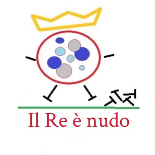 Логотип @ilreenudonotiziarioindipendente - Il Re è nudo