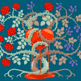 Логотип @ilrovoelarosa - Il Rovo e la Rosa 🌹