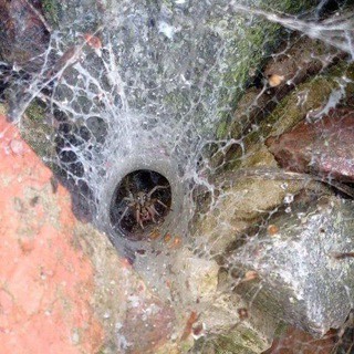 Логотип @ilyagargod - ilyagargod