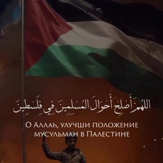 Логотип @imamjameel - Имам Джамиль